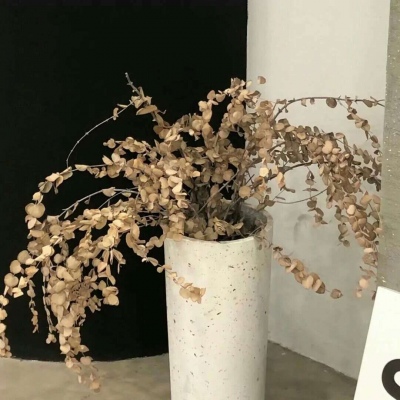 兽设原创构思技巧福瑞群